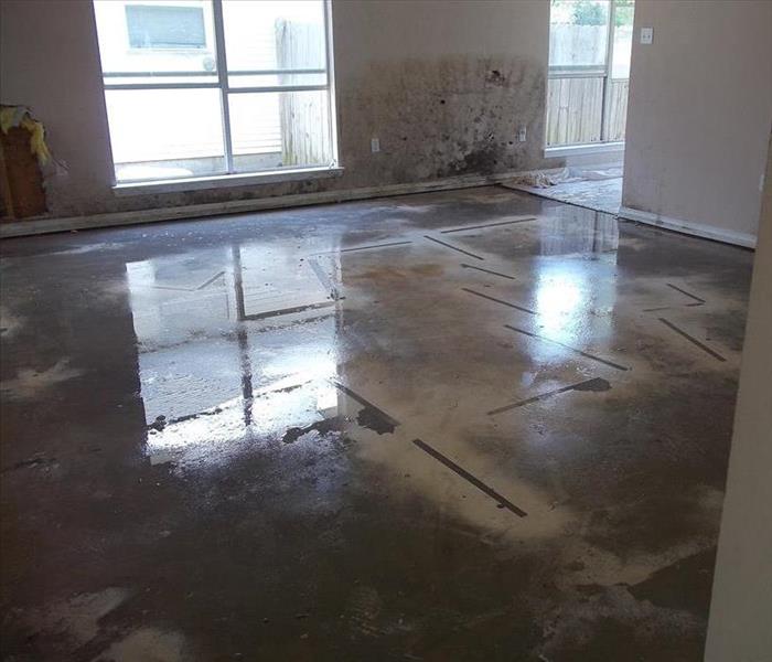 empty room with concrete base-floors and mold on back walls  