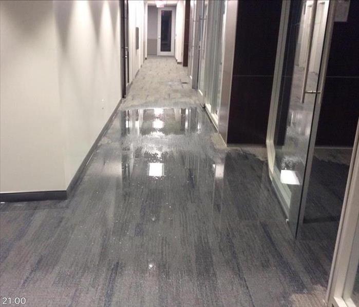 hallway with gray carpet and white walls with water on the ground