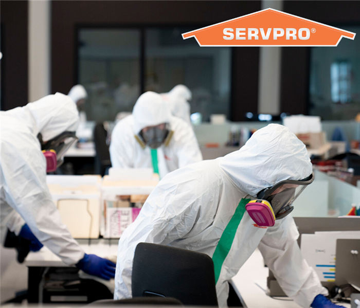 SERVPRO cleaning technicians in white ppe sanitizing an office