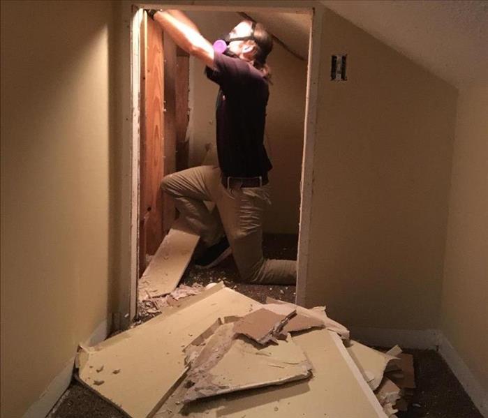 man wearing masks removes drywall in attic with mold on it